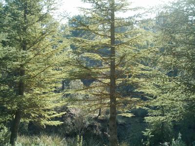Sierra de Hu&eacute;tor